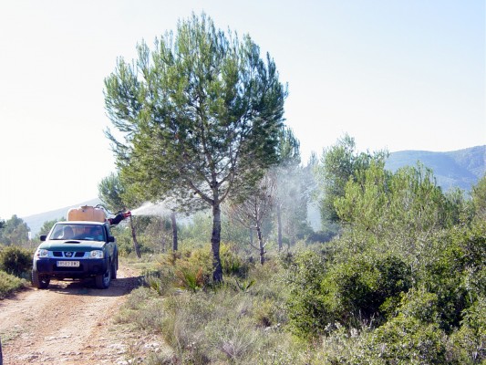 La Generalitat intensifica el control de plagas en los montes para reducir los efectos de la sequía