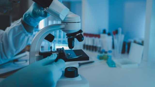 IVI RMA prevé incorporar en España una plataforma de IA y robótica para impulsar una nueva generación de laboratorios de FIV