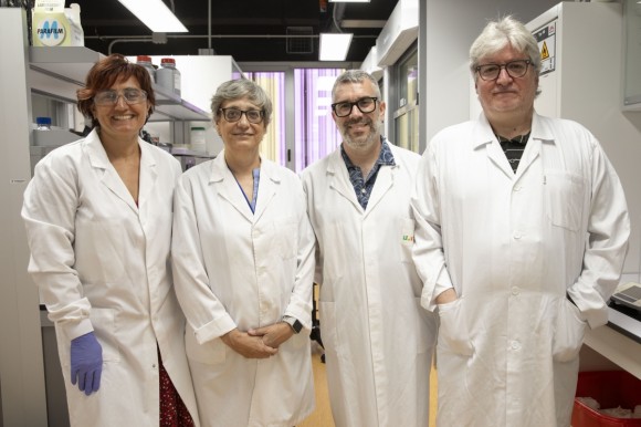 La UJI lidera un consorcio europeo para generar líneas de cítricos más resistentes al cambio climático y a las plagas 