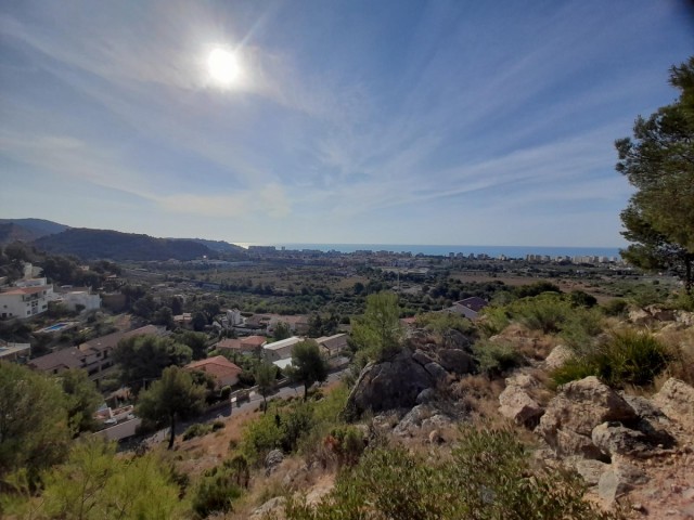 Actividad física y naturaleza: Benicàssim estrena el nuevo Circuito Permanente de Orientación