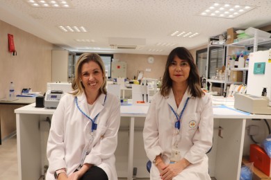 Investigadoras del CEU Elche crean un modelo celular para estudiar mejor el tumor intracraneal más frecuente