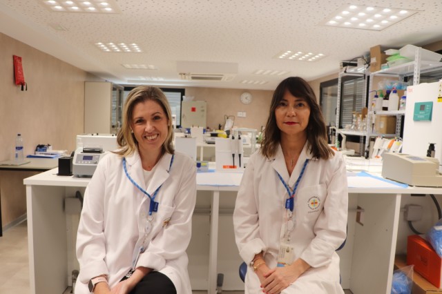 Investigadoras del CEU Elche crean un modelo celular para estudiar mejor el tumor intracraneal más frecuente