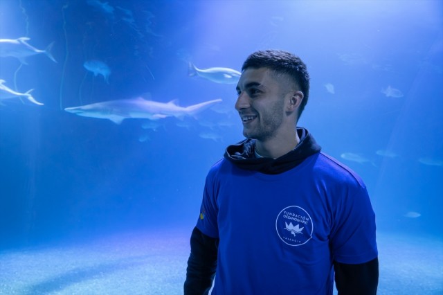El Oceanogràfic de València pone el nombre de Ferran Torres a uno de sus tiburones grises