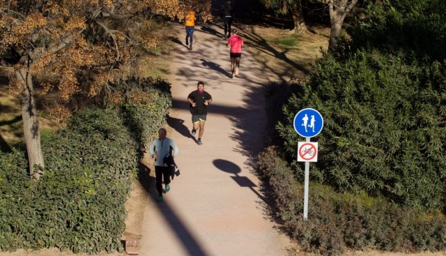 El Ayuntamiento de Valencia y la Fundación Trinidad Alfonso iluminarán los puentes del Jardín del Túria