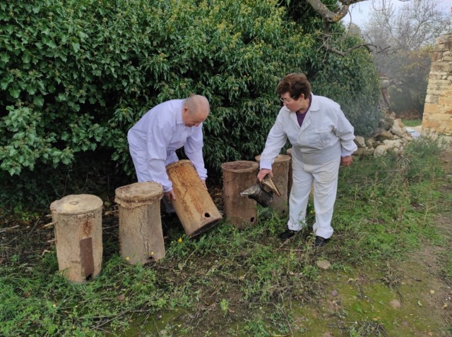 Culla afianza el sector de la apicultura y consolida su tradición en la comarca