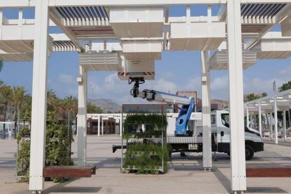 Cartagena embellece el puerto plantando en las pérgolas más de 600 nuevas plantas resistentes al calor