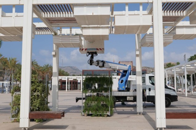 Cartagena embellece el puerto con más de 600 nuevas plantas resistentes al calor en las pérgolas