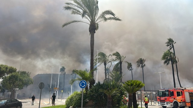 Un incendio forestal cerca del barranco del Salt de l'Aigua deja un fallecido en Manises