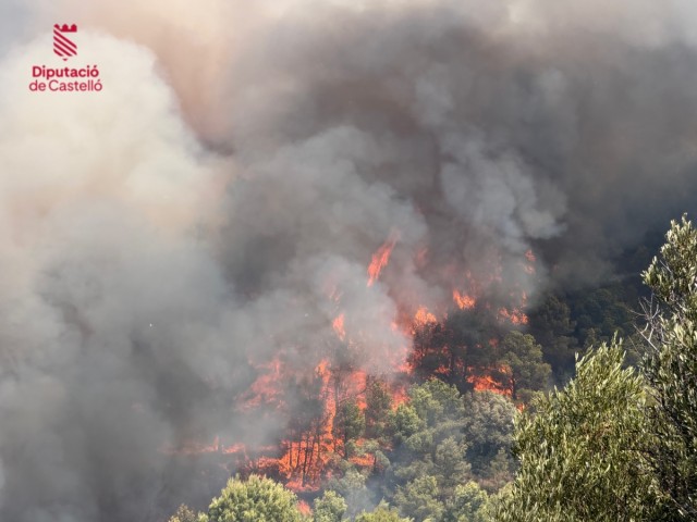 Las imágenes del incendio de la Vall d'Uixó 