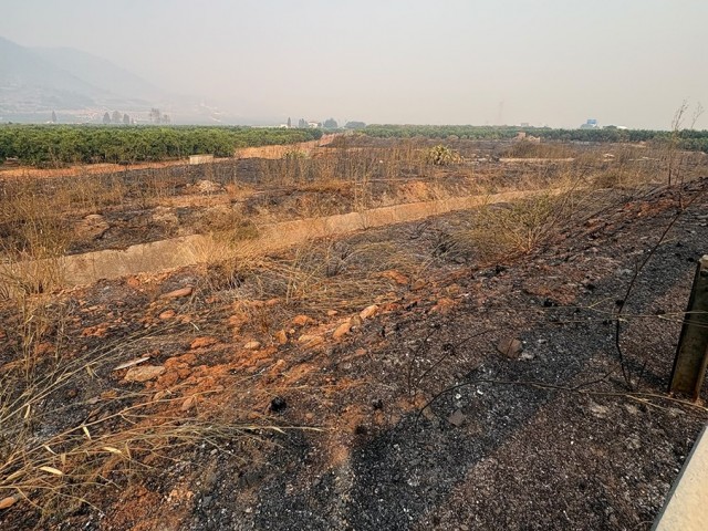 AVA-Asaja alerta de los daños en cultivos y ganadería por el incendio forestal de la Vall d'Uixó 