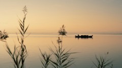 La concejalía de Devesa-Albufera medirá la capacidad de carga de l'Albufera para garantizar su futuro