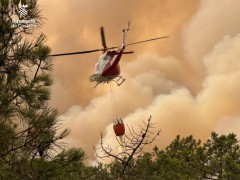 El Gobierno declarará zonas gravemente afectadas las áreas quemadas por los incendios forestales