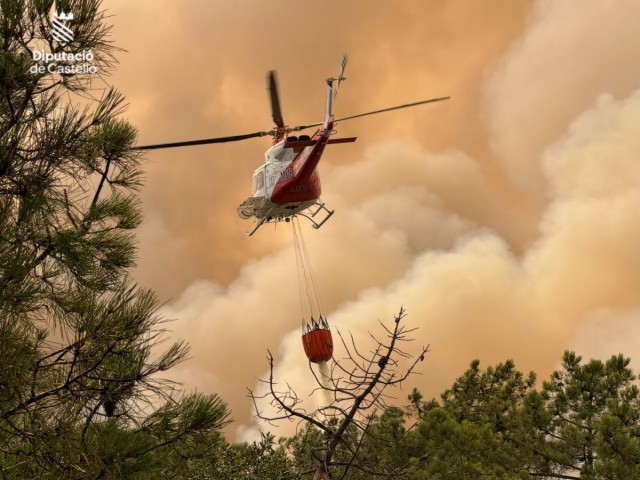 El Gobierno declarará zonas gravemente afectadas las áreas quemadas por los incendios forestales