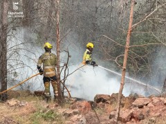 Las investigaciones de la Guardia Civil sobre el incendio de la Vall apuntan a causas intencionadas
