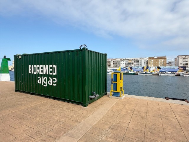 El Puerto de Gandía testea una tecnología de biorremediación basada en macroalgas de la mano de Fundación Valenciaport