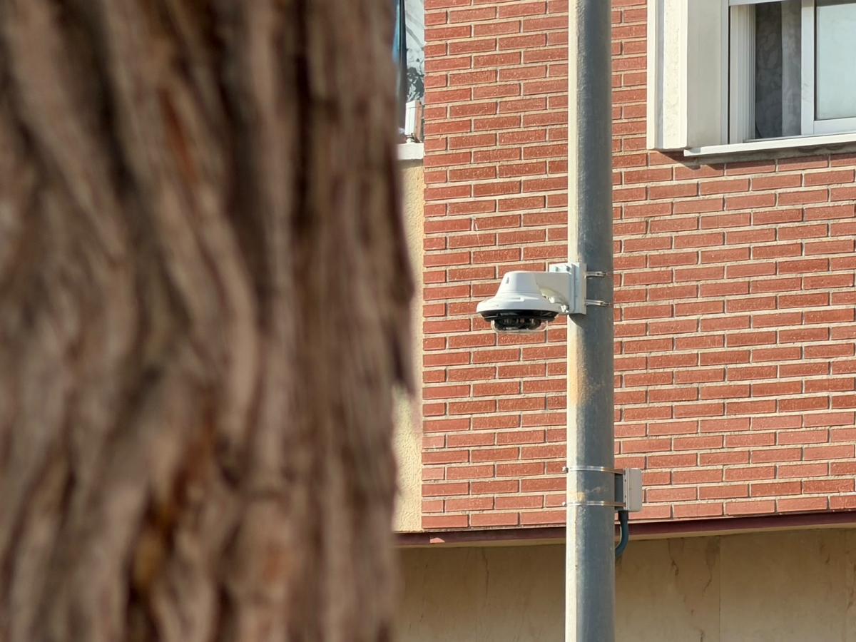  - Foto: AYUNTAMIENTO DE TORRE PACHECO