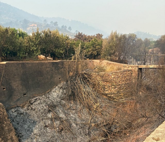 AVA-Asaja exige a la CHJ la limpieza de barrancos por su impacto en la propagación del incendio en la Serra d'Espadà