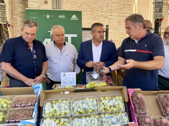La Región bate su récord de exportaciones de uva de mesa con 292 millones en ventas al exterior en 2025