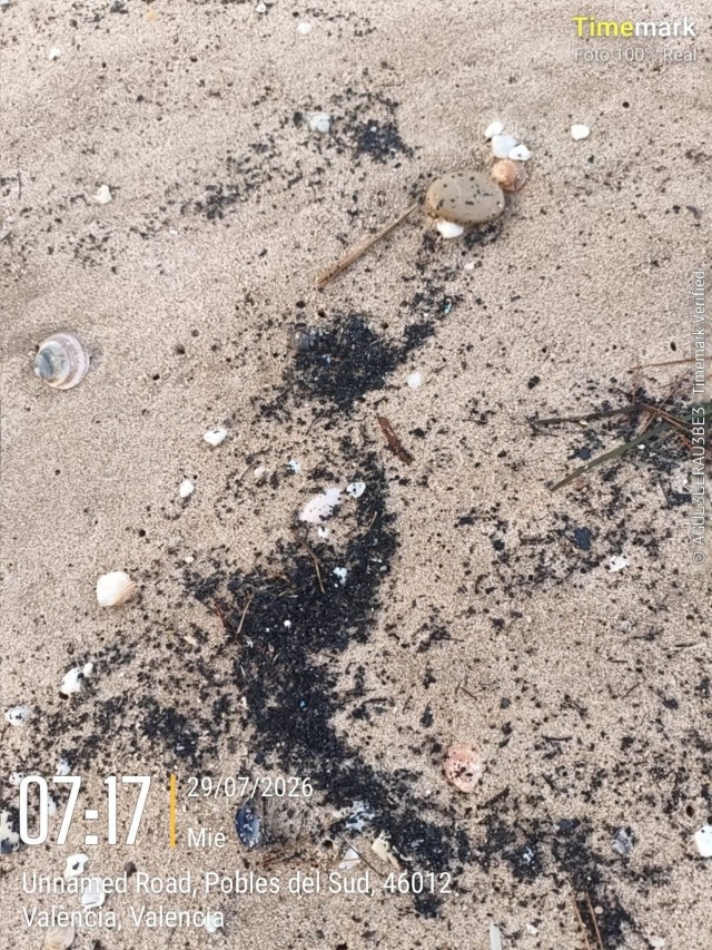 València retira restos carbonizados de los incendios de las playas del Sur