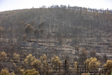 Estabilizado el incendio forestal de la Vall d'Uixó: todos los evacuados pueden regresar a sus hogares