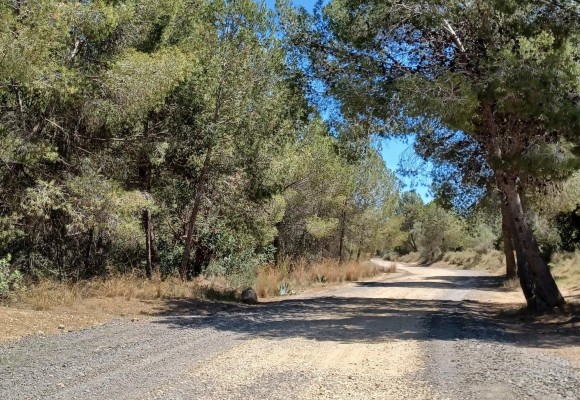 Paterna adecúa más de 2.500 metros de caminos rurales para hacerlos más accesibles y transitables
