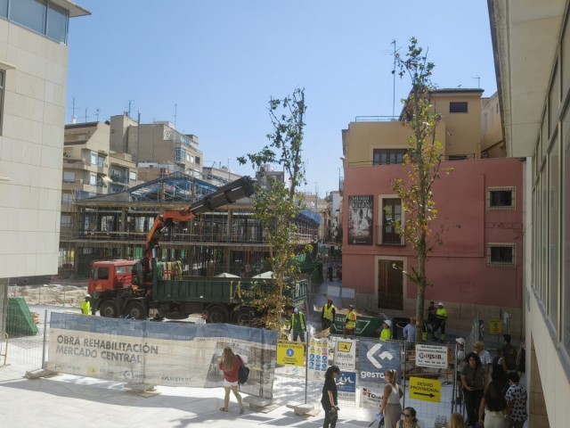 Elche acelera fases en el Mercado Central y Santa María para dejar despejados accesos ante las fiestas