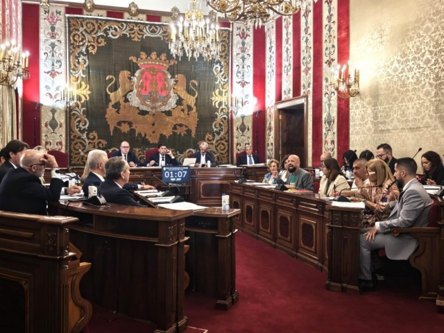 Vox evita la reprobación de Barcala, pero cree que el alcalde debe irse por el 'escándalo' de Les Naus de Alicante