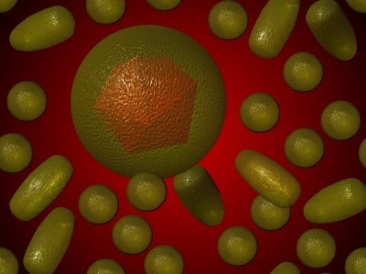 La OMS precalifica el primer test de autodiagnóstico para el virus de la hepatitis C
