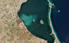 La 'mancha blanca' del Mar Menor crea un desierto submarino de 7 km2, sin praderas y casi sin poblaciones de peces