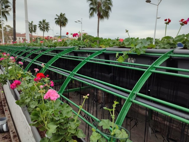 La renovación del Puente de las Flores se hará en septiembre para 