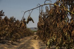 Los efectivos de extinción se centran en refrescar Tales y Eslida en el incendio de la Vall d'Uixó