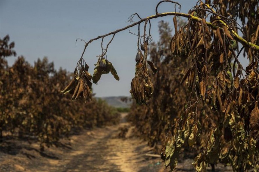 Los efectivos de extinción se centran en refrescar Tales y Eslida en el incendio de la Vall d'Uixó