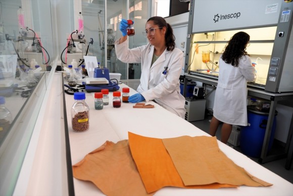 La innovación alicantina navega con más empleo ‘tech’, pero pesa solo un 4,52% en la capital