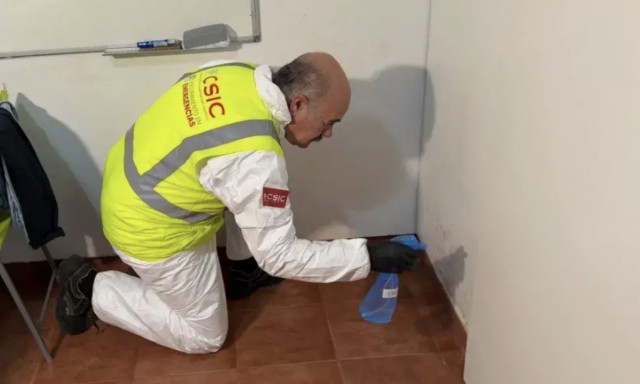 Patentan un tratamiento aplicado en la dana para eliminar el moho de viviendas afectadas por inundaciones
