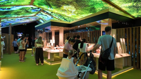 La exposición de los tesoros de Colombia roza los 19.000 visitantes durante su primer mes en el MARQ