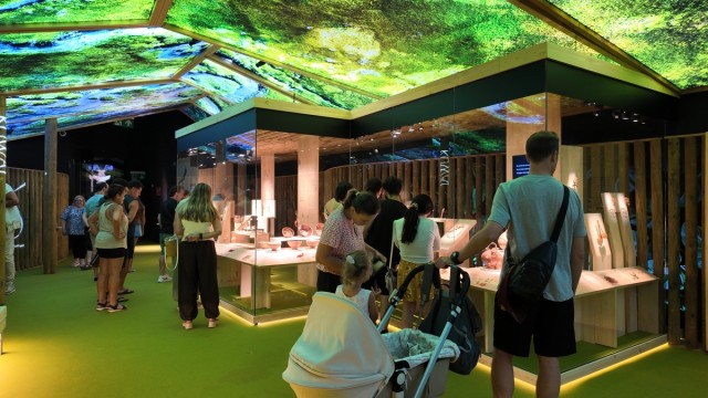 La exposición de los tesoros de Colombia roza los 19.000 visitantes durante su primer mes en el MARQ