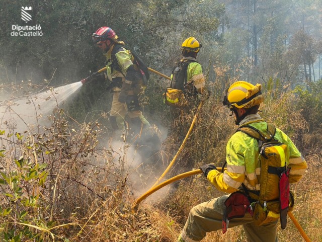 AVA-Asaja cifra en 40 millones los daños en el sector agrario del incendio de la Vall d'Uixó
