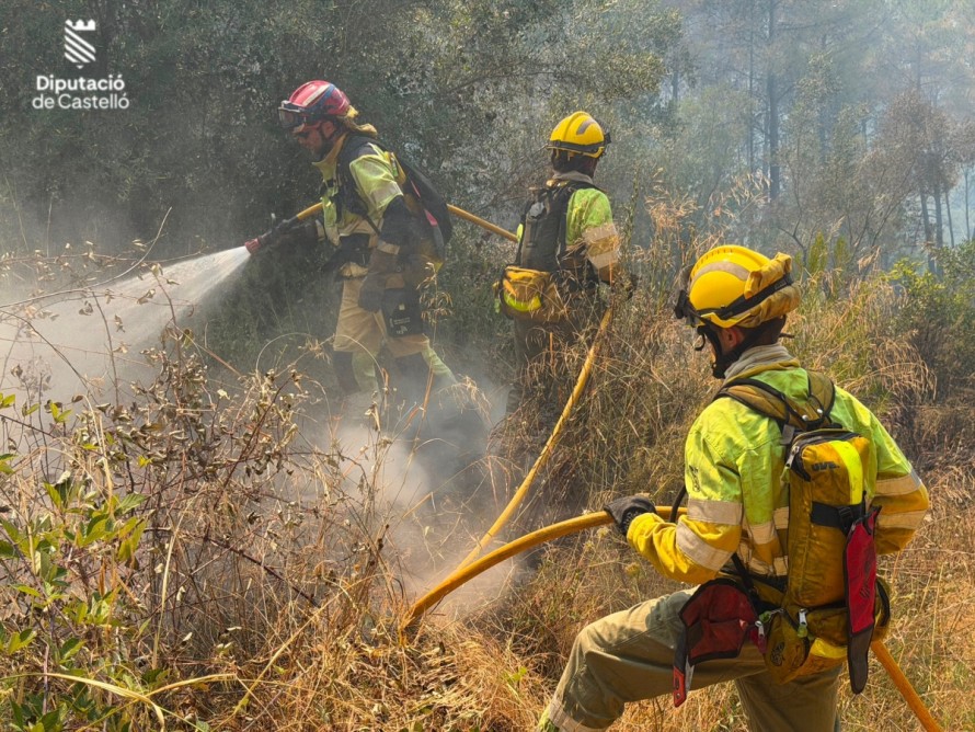 AVA-Asaja cifra en 40 millones los daños en el sector agrario del incendio de la Vall d'Uixó