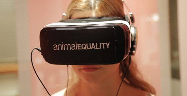 Igualdad Animal lanza un documental sobre la industria ganadera en realidad virtual