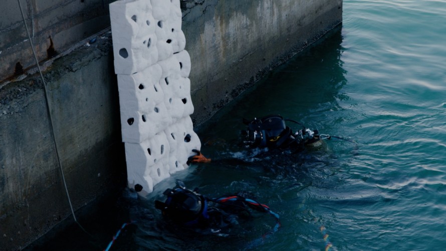 PortCastelló impulsa la vida de 42 especies marinas con la implantación de arrecifes artificiales