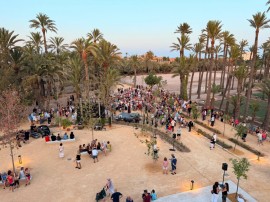 El otro potencial del Hort del Gat de Elche: el alcalde plantea llevar allí grandes eventos y festivales