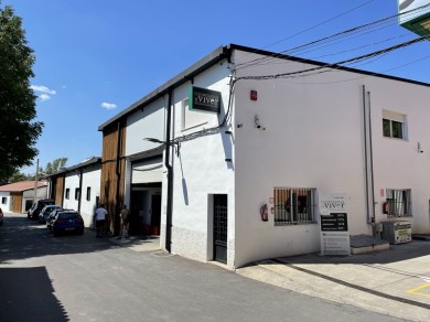 La Cooperativa de Viver alcanza una facturación récord de 17,88 millones de  euros en 2025 