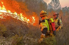 La CEV pide que las órdenes durante emergencias especifiquen el modo de actuar de las empresas