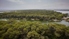 València restringirá este miércoles los accesos a la playa de la Malva-rosa y al Parque Natural de l'Albufera