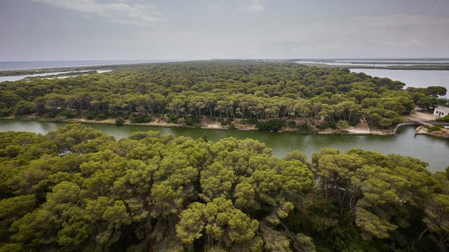 València restringirá este miércoles los accesos a la playa de la Malva-rosa y al Parque Natural de l'Albufera