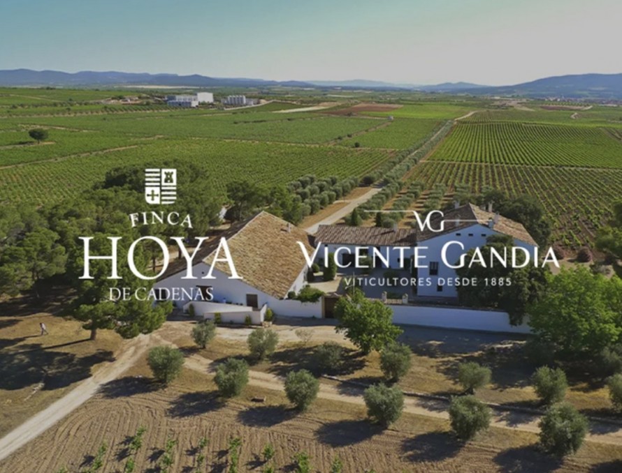 Vicente Gandía obtiene el sello 