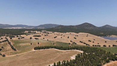 El Consell da carpetazo al macrovertedero de Zarra y pone fin a la tramitación del proyecto