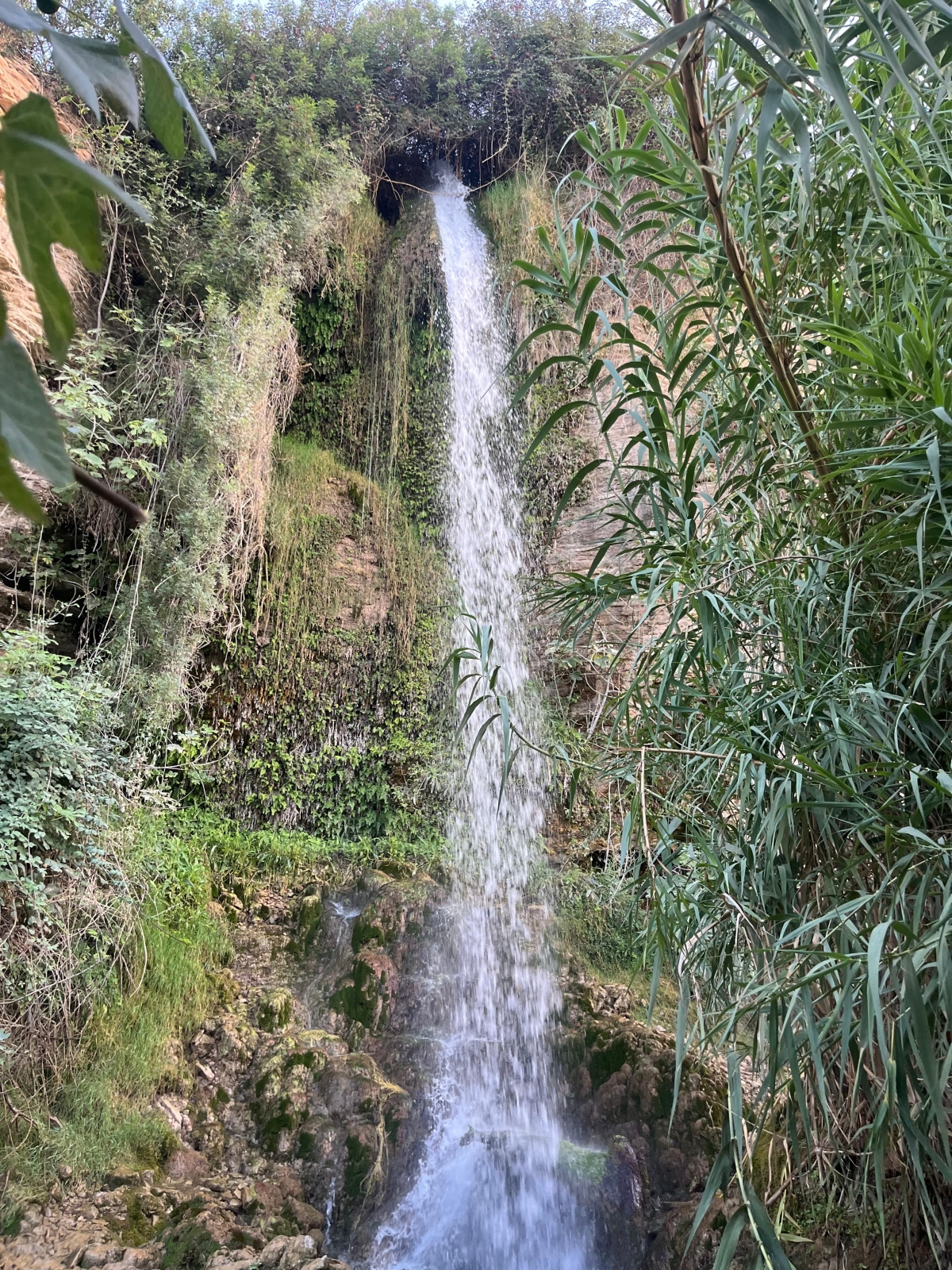 Fuente del Gorgotón - Foto: A. Z Fuente del Gorgotón