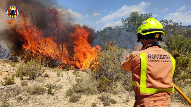 Los incendios queman en España 21.730 hectáreas en la primera mitad del año, un 63,8% menos que en 2023