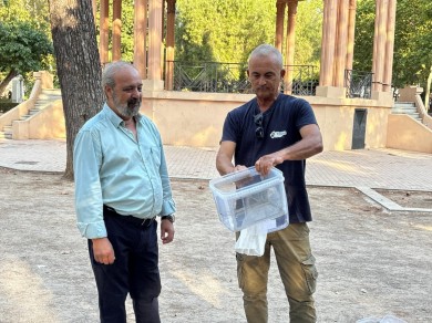 Castelló repite en la aplicación del método del insecto estéril para combatir al mosquito tigre 